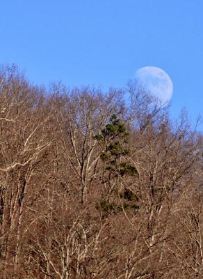 Moon ~ River