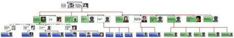 Graphic chart illustrating Jang Song Taek's familial links (Photo: NK Leadership Watch)