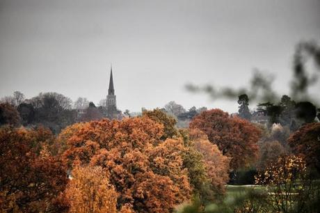 In and Around London... Wimbledon in Winter