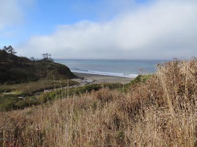 California’s LOST COAST HEADLANDS: Hike to Guthrie Creek