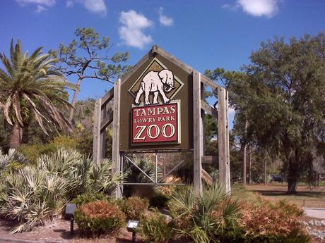 The Ramblin’ Tampa Travel Guide Tampa Travel Guide Lowry Park Zoo