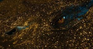 Desolation-of-Smaug-Movie-Dragon