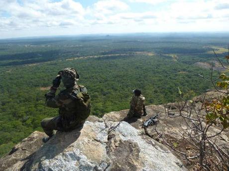 against elephant poaching Kasungu National Park