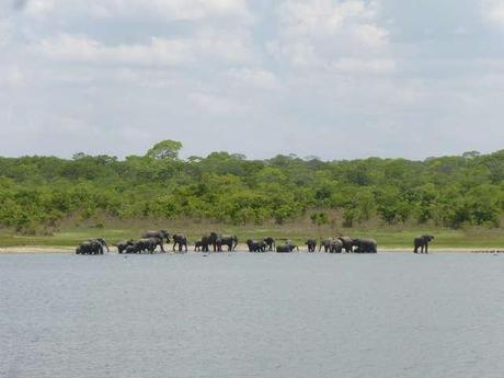 poaching Kasungu National Park