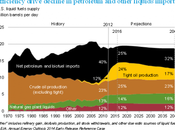 Presents Updated Projections U.S. Energy Market