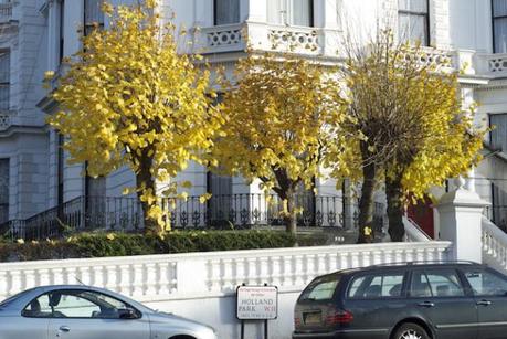 Holland Park Houses - Autumn Colours