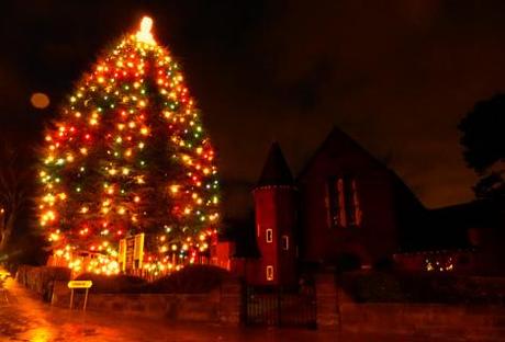 bournville tree