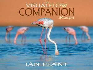 Visual Flow Companion, Ian Plant, composition, landscape, ebook,