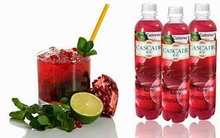 Celebrate the Holidays w/ Cascade Ice Cocktails & Punch