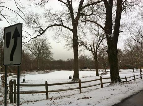 Old-Westbury's-Hidden-Pond