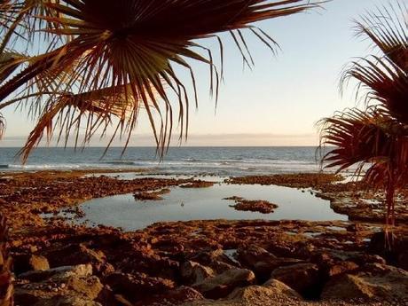 The Top 5 Things to See and Do in Tenerife For Free The Top 5 Things to See and Do in Tenerife For Free