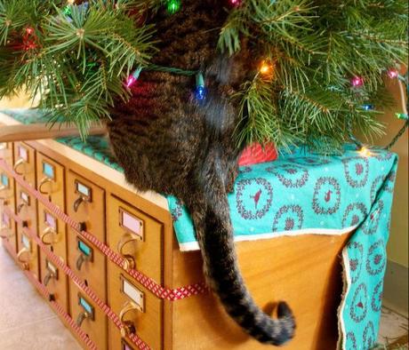 Curious Cat in a Christmas Tree