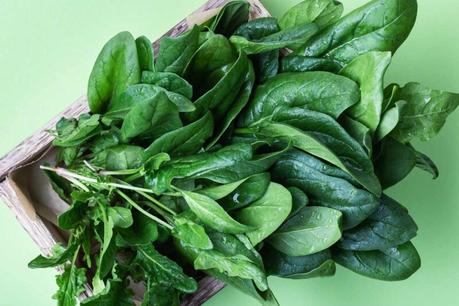 Fight Off Winter Illnesses: Include These 10 Foods in Your Diet