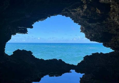 Animal Flower Cave A Coastal Gem with a Secret