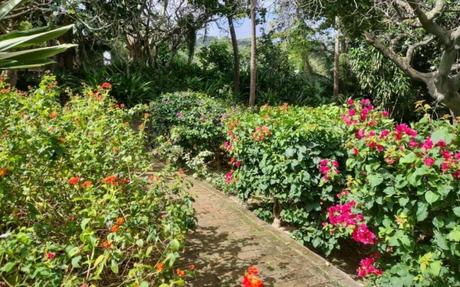 Andromeda Botanic Gardens Nature's Palette Unveiled