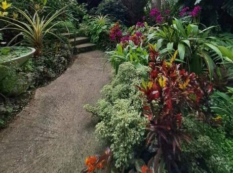 Hunte's Gardens Where Beauty Meets Serenity