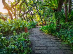 Landscaping not only makes your Texas home look great and add more value but you can also use it to help keep cool. Learn how planting trees can save you more.