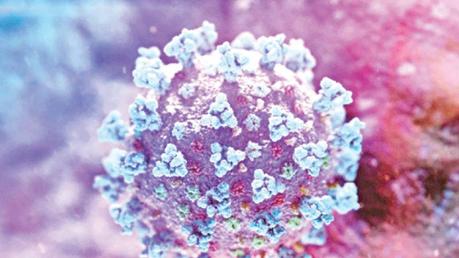 COVID 19 deaths on the rise