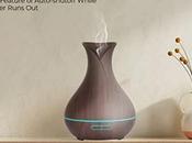 Enhance Your Environment With Electric Aroma Diffuser