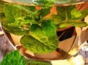 Unwind De-Bloat: Herbal Teas That Digestion Reduce