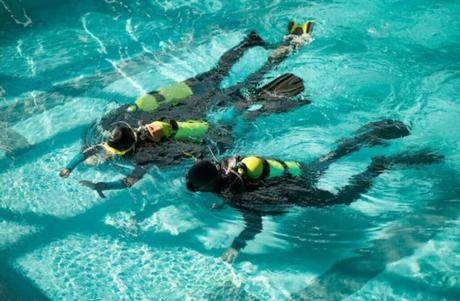 Diving Schools Unleash Your Inner Adventurer