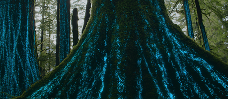 our living world nature documentaries coming to netflix in 2023 and beyond