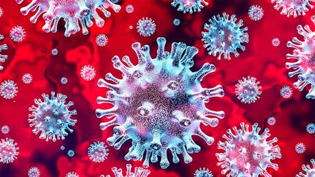 More COVID 19 deaths reported