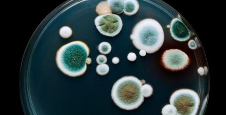 The Earth’s Gift: Understanding the Health Benefits of Water Stored in Clay Pots The Earth's Gift: Understanding the Health Benefits of Water Stored in Clay Pots