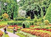 Botanical Garden Ticket Prices Increased from July