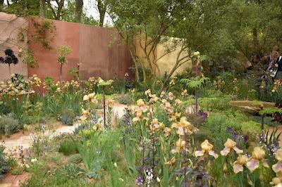 RHS Chelsea Flower Show 2023 - the one with all the irises