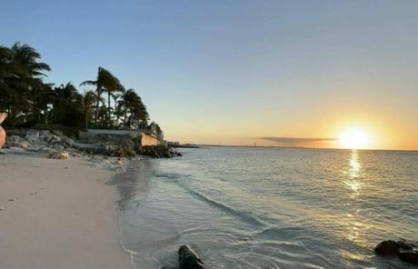 Pelican Beach Pristine Beauty and Wildlife