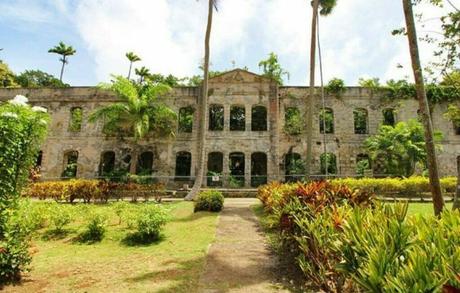 Barbados National Parks and Nature Reserves Guide Farley Hill National Park Where History Meets Natural Beauty