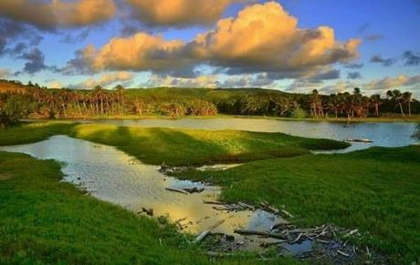 Barbados National Parks and Nature Reserves Guide Graeme Hall Nature Sanctuary A Haven for Wildlife