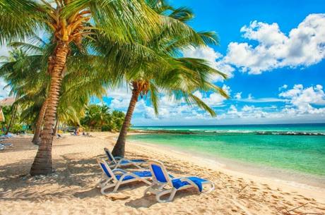 Barbados National Parks and Nature Reserves Guide FAQ