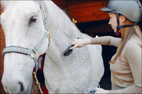 Equine influenza, Respiratory Disease of Horses – Causes, Symptoms & Treatment