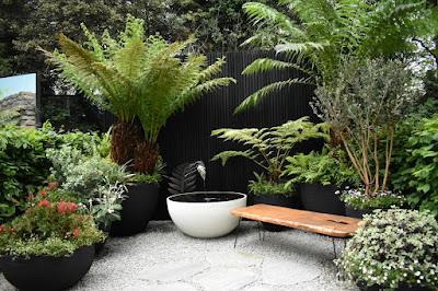 RHS Chelsea Flower Show 2023 - for a few show gardens more
