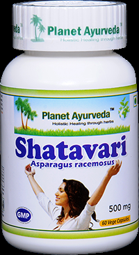 Shatavari-Usage, and Its Health Benefits