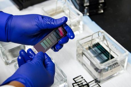 DNA Analysis in Criminal Justice