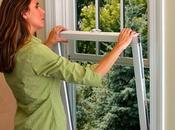 Steps Selecting Replacement Windows Need