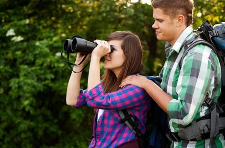Turks and Caicos Birds (Endemic, Migratory & Resident) Bird-Watching Tips and Techniques