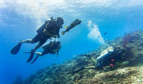 Liveaboard Diving Experiences in Turks and Caicos