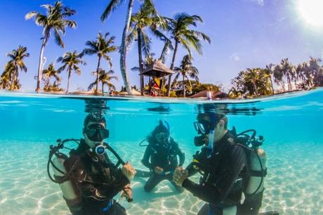 PADI Certification and Training