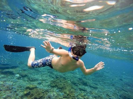 Turks and Caicos Snorkeling (2023 Guide) FAQ