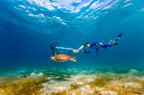 Turks and Caicos Snorkeling (2023 Guide) Snorkeling Excursions and Tours