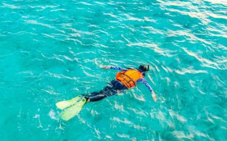 Turks and Caicos Snorkeling (2023 Guide) Best Snorkeling Spots in Turks and Caicos