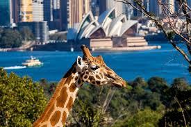 Taronga Zoo, Sydney