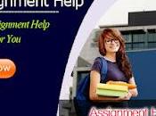 Assignment Help Melbourne Writer Services That Students Require.