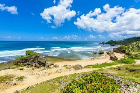 Bathsheba Beach A Surfer's Dream and Natural Beauty