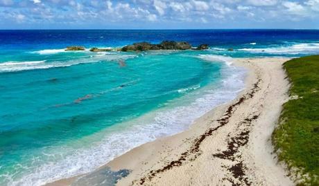 Salt Cay History and Marine Life