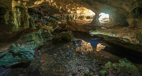 Conch Bar Caves National Park Tour Ancient Caverns and Archaeology